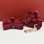 Red Wine Velvet Harness, Collar, and Leash Set