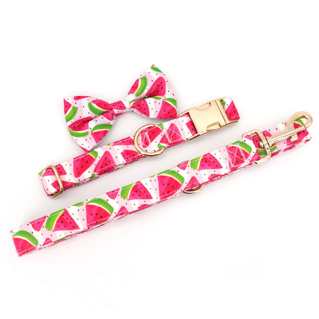 Summer Watermelon Collar, Leash, and Bow