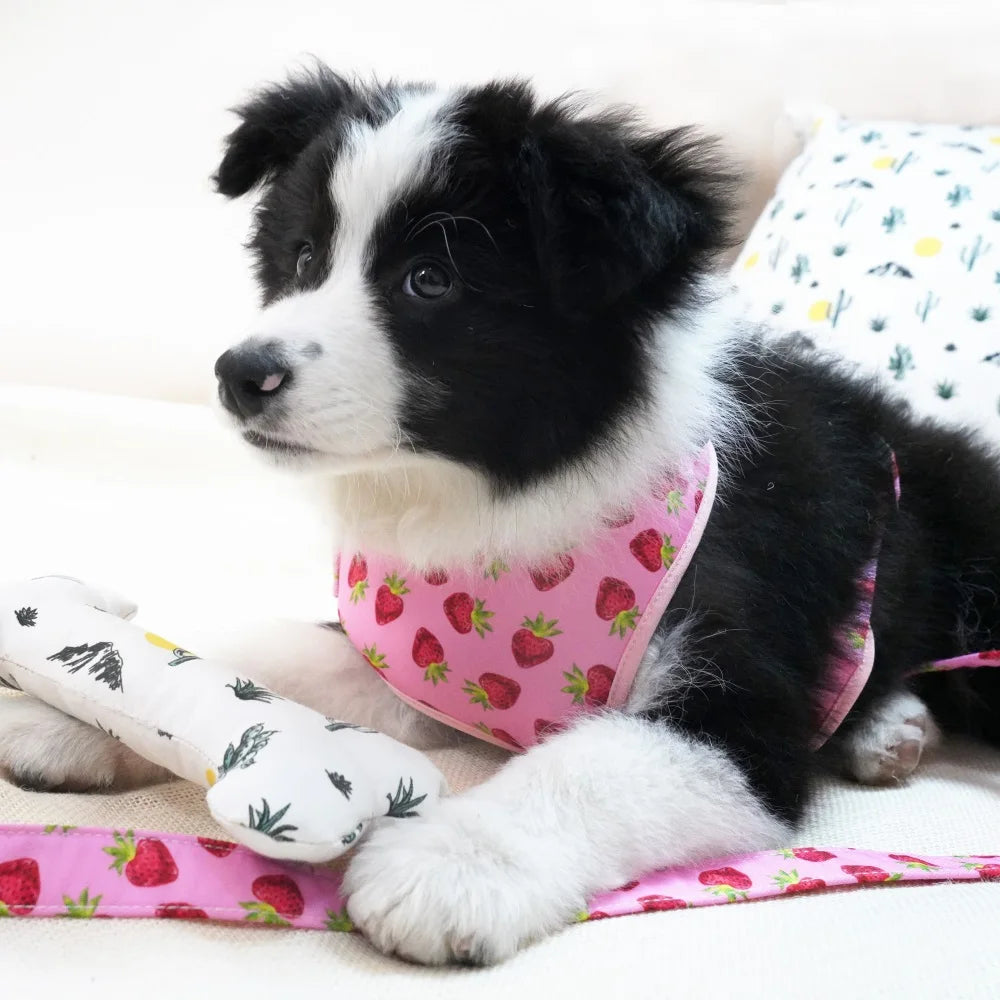 Strawberry Girly Dog Collar Flower with Matching Leash and Harness