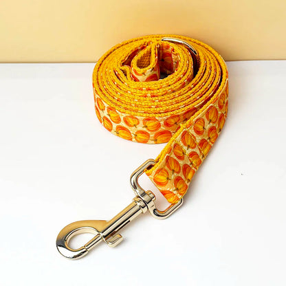 Halloween Dog Collar, Harness & Leash Set