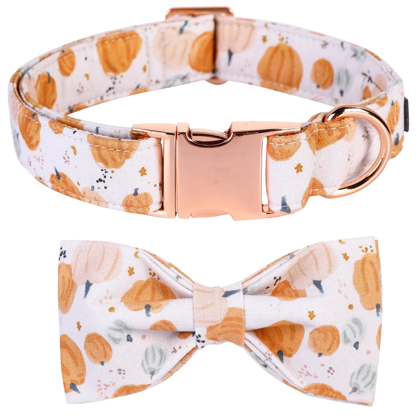 Elegant Little Pumpkin Collar and Leash