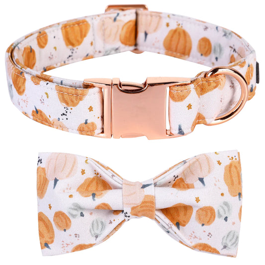 Elegant Little Pumpkin Collar and Leash