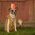 Elegant little tail Dog Collar with Bow - Fall Dog Collar Bow Thanksgiving Turkey Bow Girl Boy Pet Collar Soft Dog Bowtie Collar