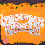 Pretty Pumpkin Patch Collar and Leash