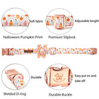Pretty Pumpkin Patch Collar and Leash