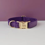 Velvet Collar