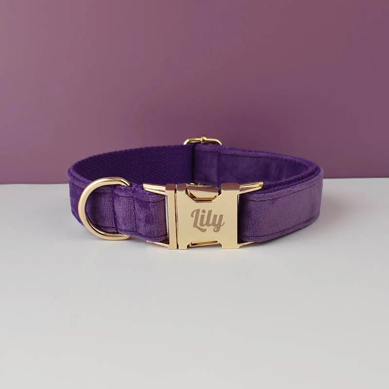 Velvet Collar