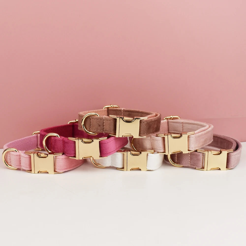 Velvet Collar