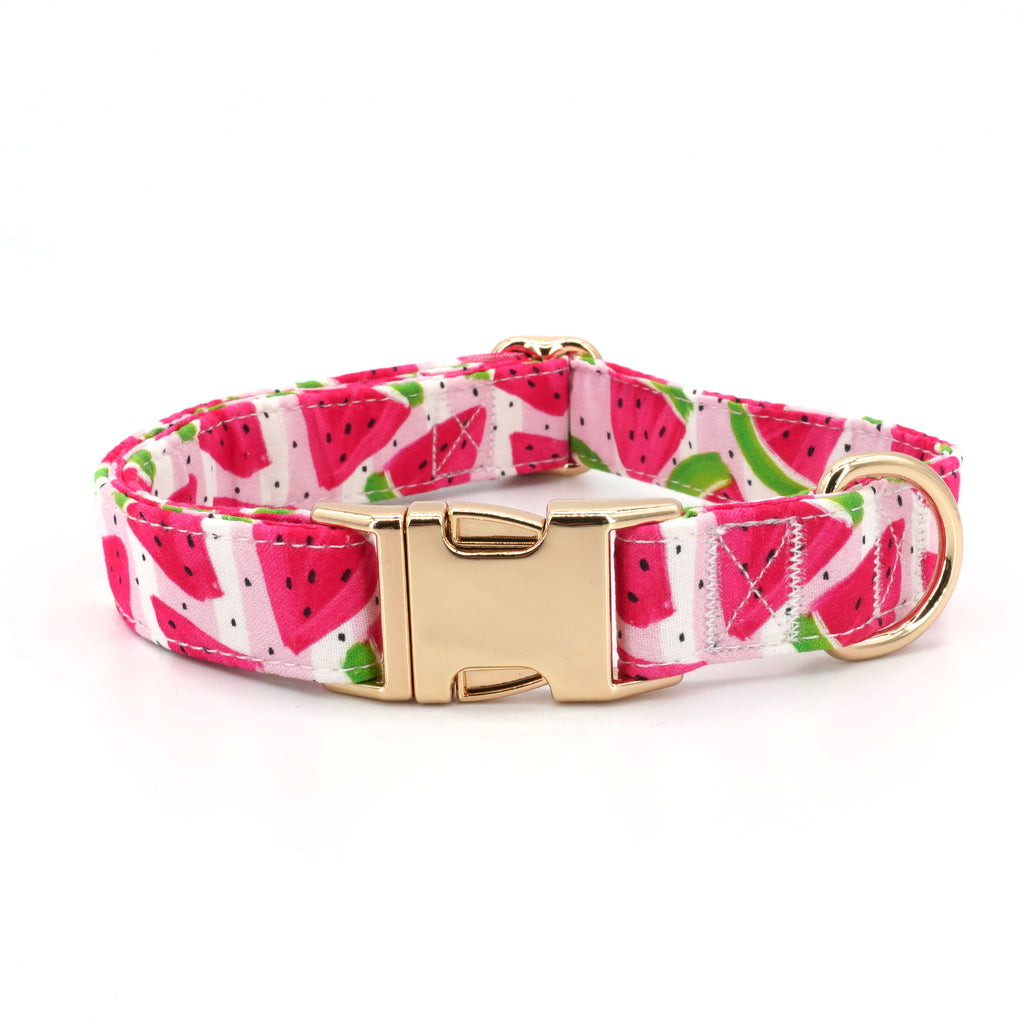 Summer Watermelon Collar, Leash, and Bow