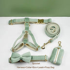 Mint Green Velvet Dog Collar And Leash Set For Dogs Custom Engraved Nameplate Pet Supplies Dog Leash Velvet 17
