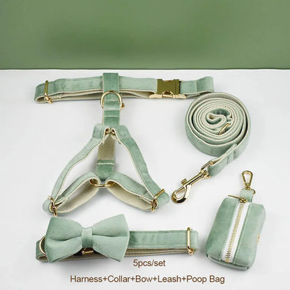 Mint Green Velvet Dog Collar & Leash Set
