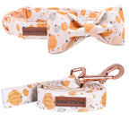 Elegant Little Pumpkin Collar and Leash