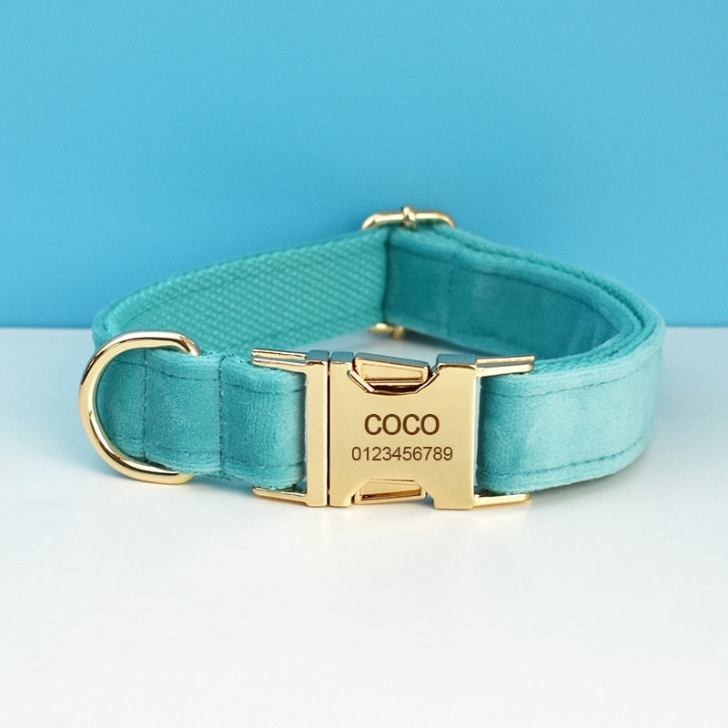 Everly Turquoise Harness, Collar, and Leash Set