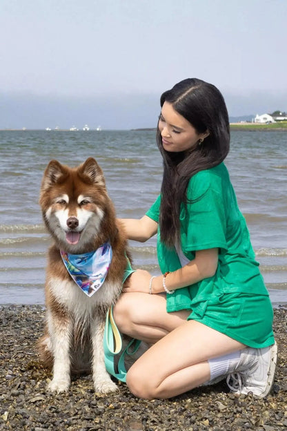 Sea Turtle Swim Dog Bandana detail view | Cutie Paw Co.