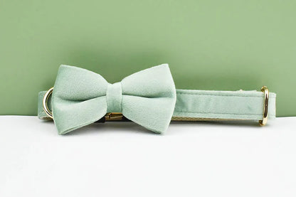 Mint Green Velvet Dog Collar & Leash Set