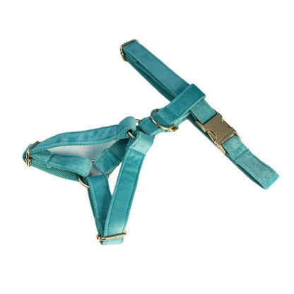 Everly Turquoise Harness, Collar, and Leash Set
