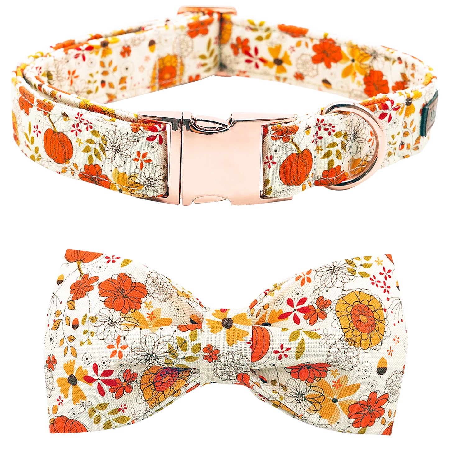 Autumn Pumpkin Collar and Bowtie or Flower