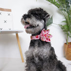 Strawberry Girly Dog Collar Flower with Matching Leash and Harness