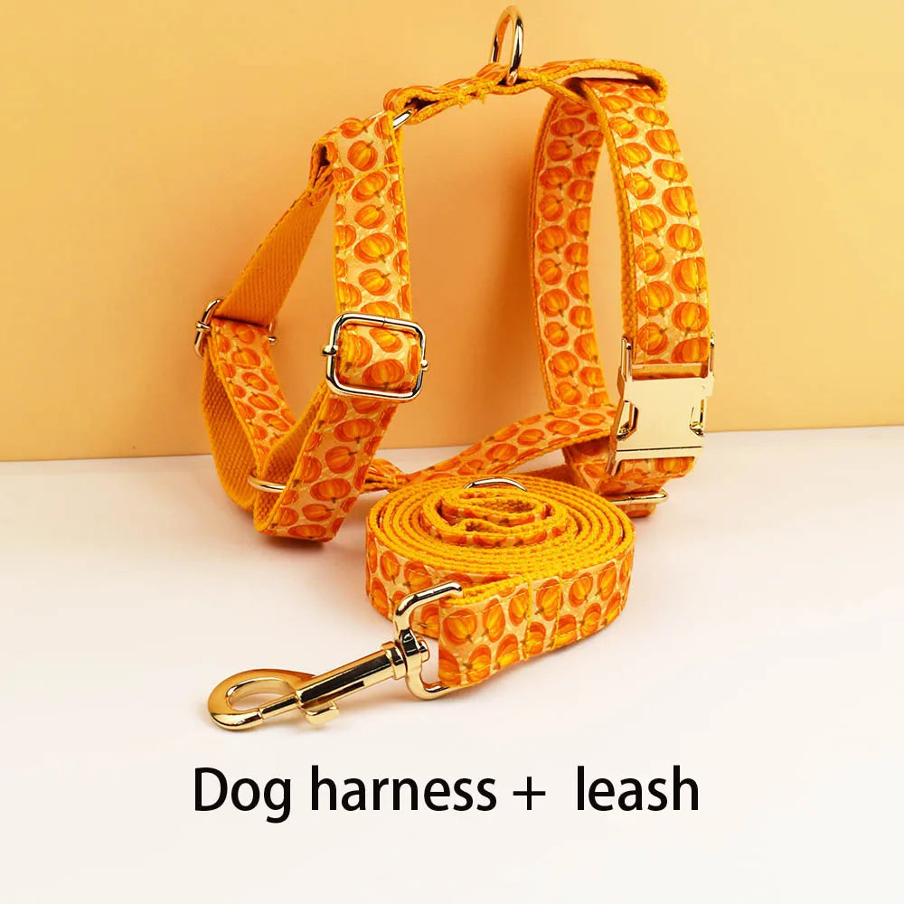 Halloween Personalized Dog Collar with Free Engraving ID Name Tag Pet Accessory Set with Matching Leash And Harness