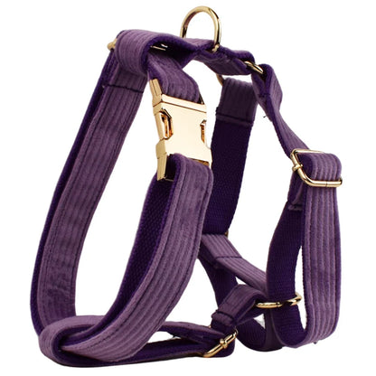 Epic Corduroy Dog Collar & Leash Set