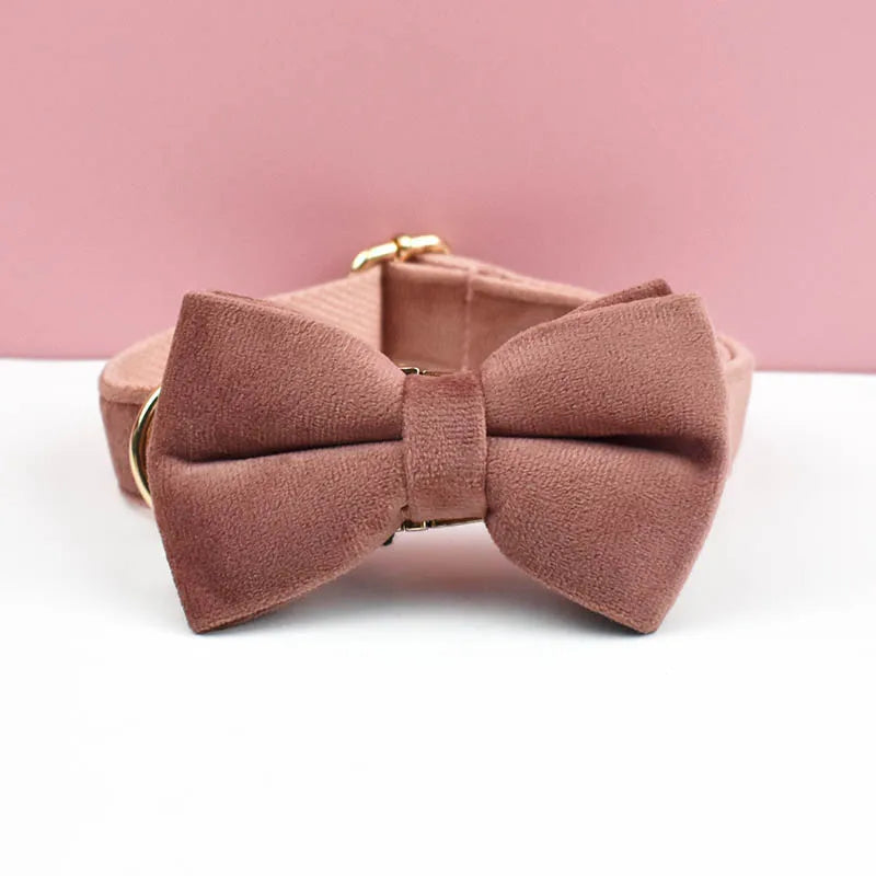 Velvet Collar