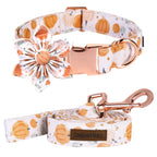 Elegant Little Pumpkin Collar and Leash