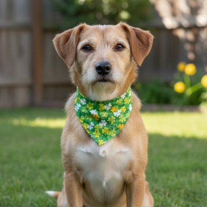 Shamrock Dog Bandana on dog — dog bandana close-up | Cutie Paw Co.