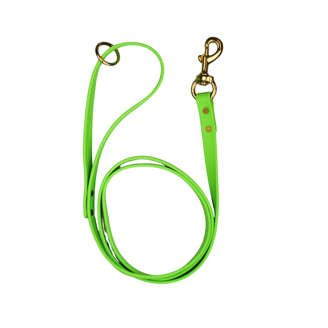 Key Lime Biothane Leash