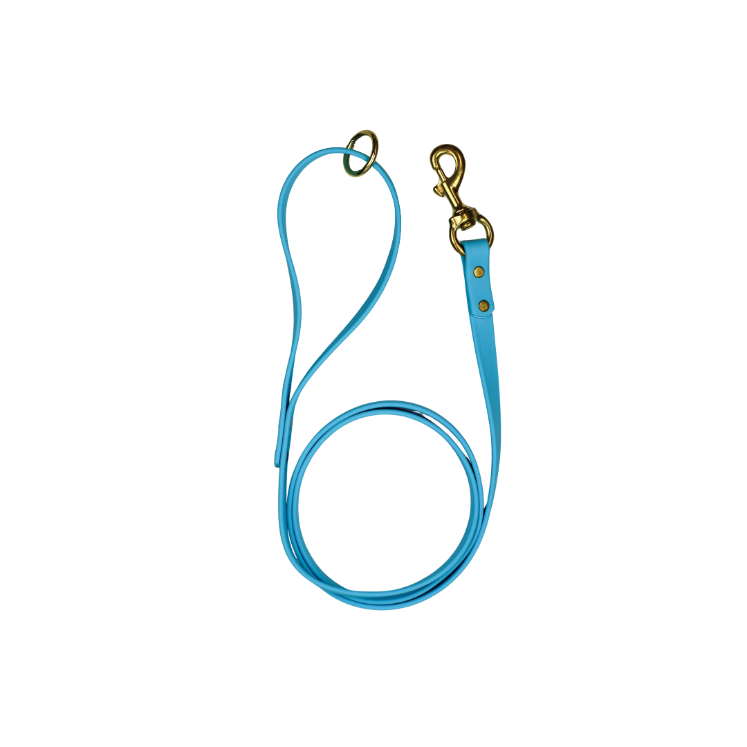 Blueberry Bliss Biothane Leash