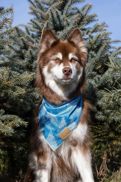 Siberian Spruce Dog Bandana & Matching Keychain on dog — dog bandana close-up | Cutie Paw Co.