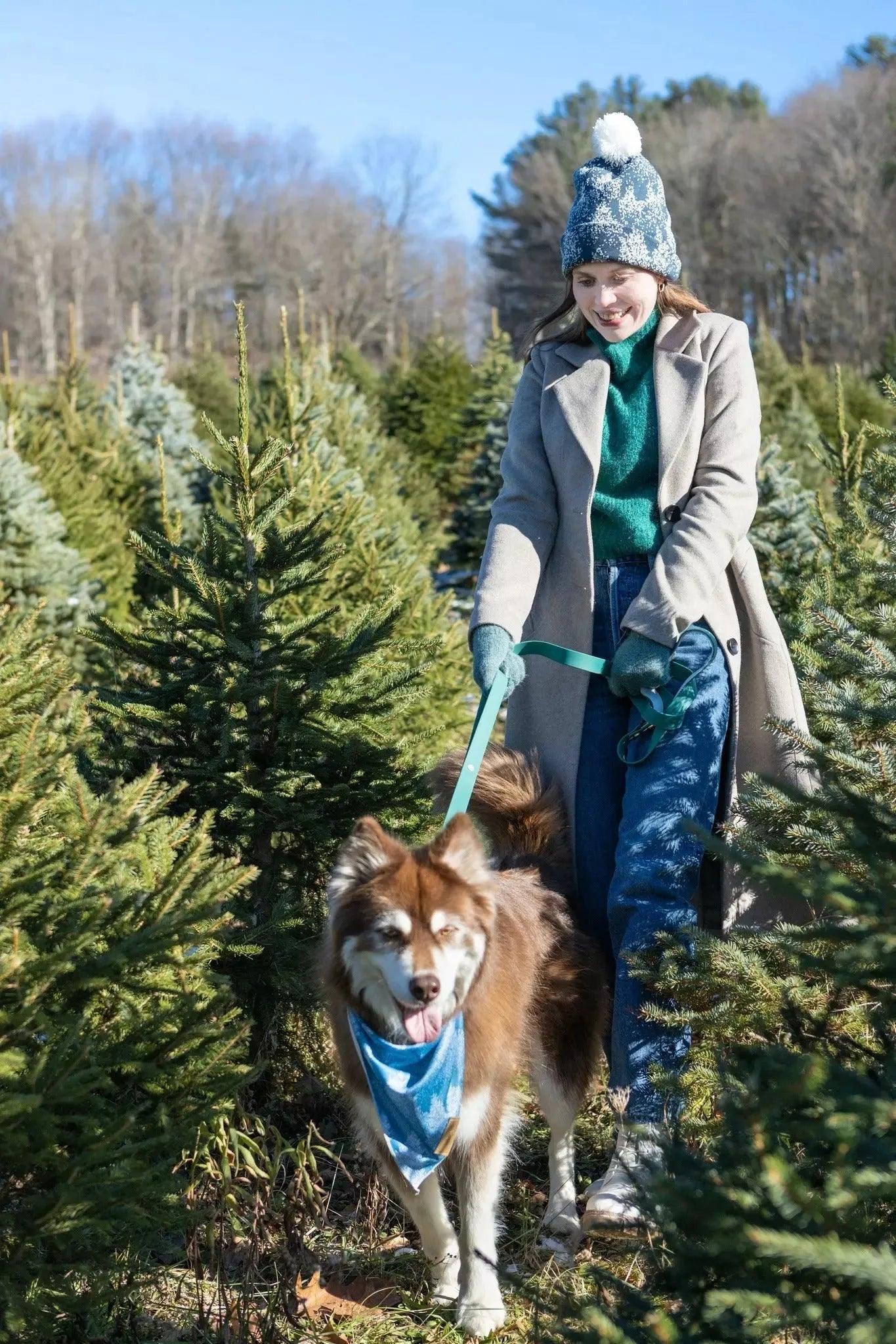 Siberian Spruce Dog Bandana detail view | Cutie Paw Co.