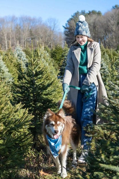 Siberian Spruce Dog Bandana detail view | Cutie Paw Co.