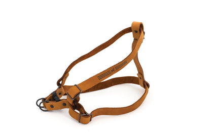 Sport Style Leather Step In Harness | Cutie Paw Co.