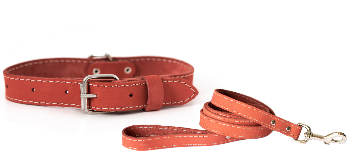 Traditional Style Leather Collar and Leash Set detail view | Cutie Paw Co.