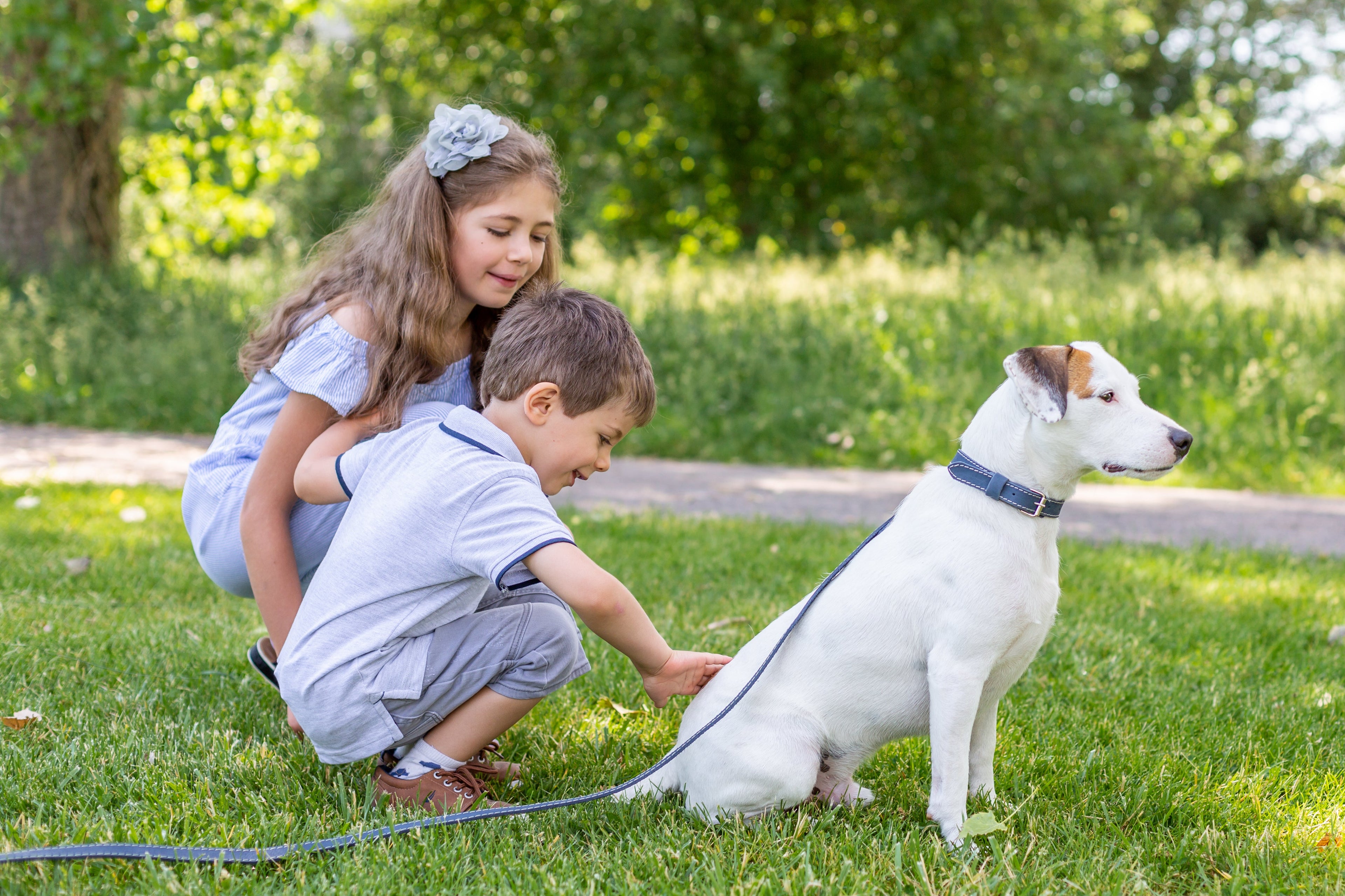 Traditional Style Leather Collar and Leash Set