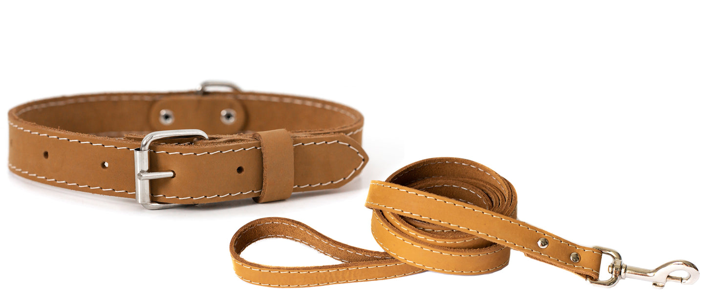 Traditional Style Leather Collar and Leash Set on dog — dog collar close-up | Cutie Paw Co.