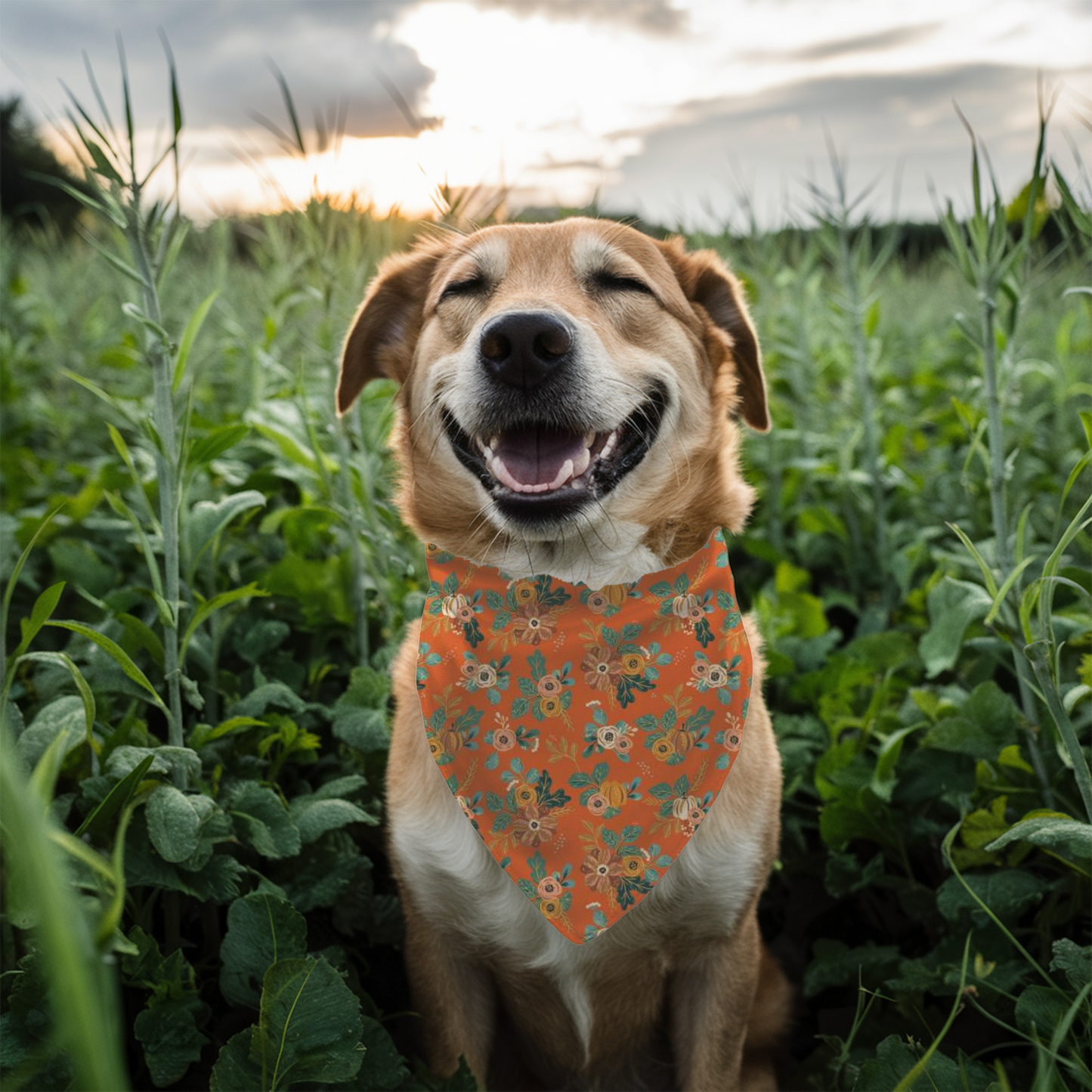 Fall Floral Dog Bandana on dog — dog bandana close-up | Cutie Paw Co.