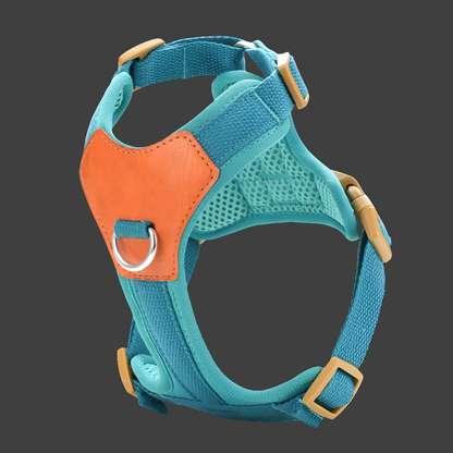 Retro Pet Harness detail view | Cutie Paw Co.