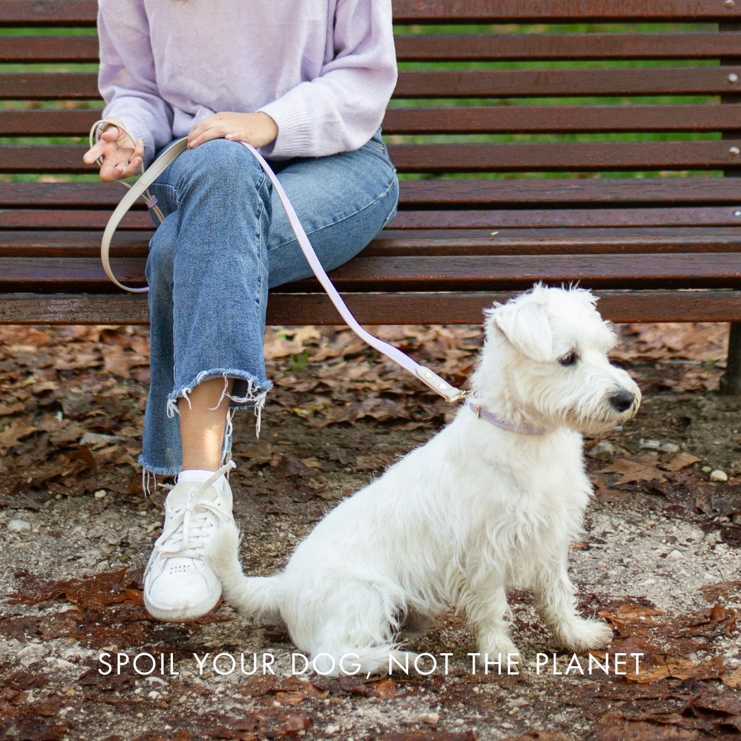 Collar - Vegan Leather