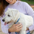 Collar - Vegan Leather