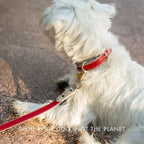 Collar - Vegan Leather