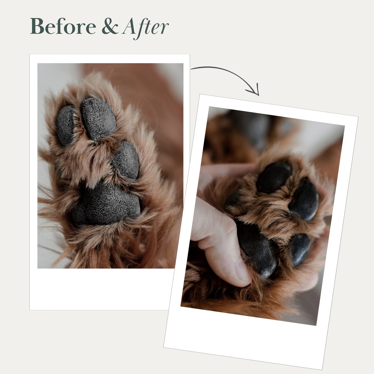 Dog Vegan Nose and Paw Balm detail view | Cutie Paw Co.