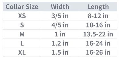 Everly Turquoise Harness, Collar, and Leash Set