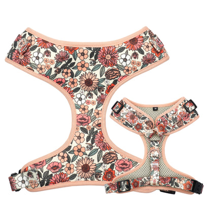 Wildflower Collar, Harness & Leash Set