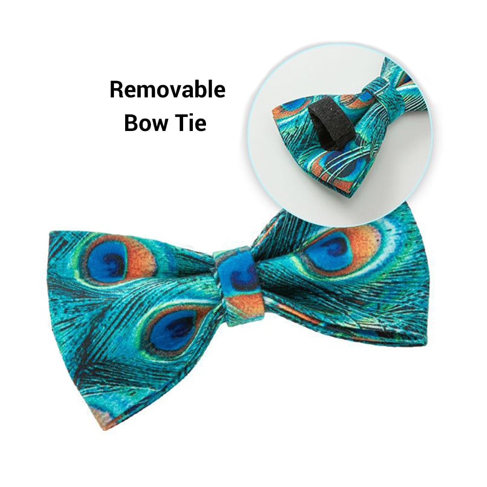 Penny Peacock Collar, Bow, and Leash