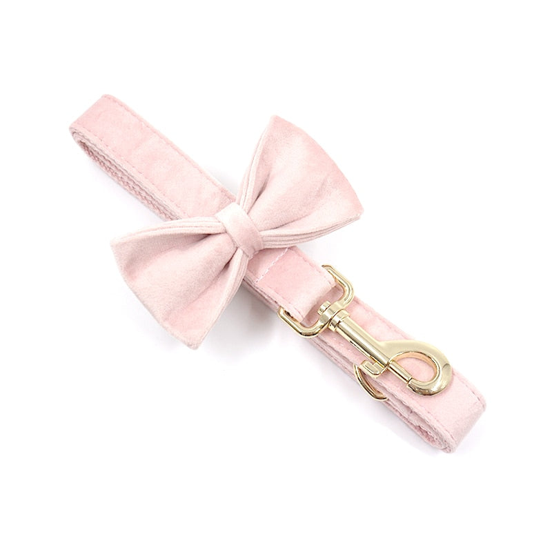 Cotton Candy Pink Collar, Harness, Bow/Bowtie, Leash, and Waste Bag Holder