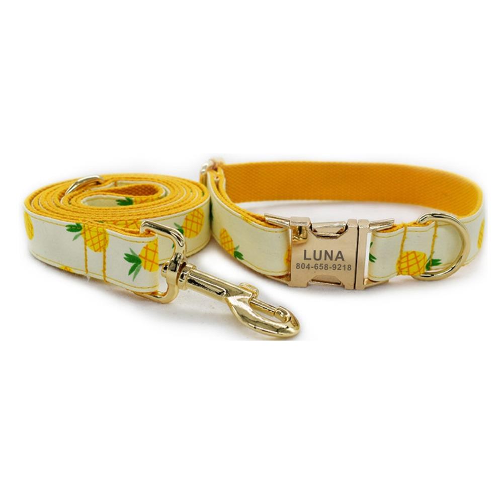 Stand Tall Pineapple Collar and Leash