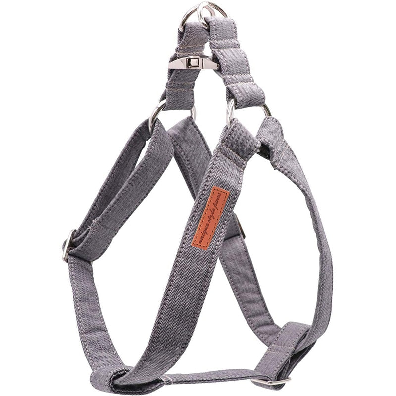 Galloping Grey Harness, Bow/Bowtie, and Leash