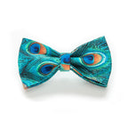 Penny Peacock Collar, Bow, and Leash