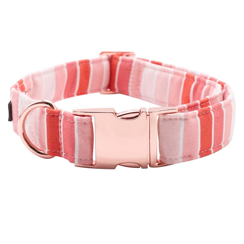 Ombre Pink Collar and Bow